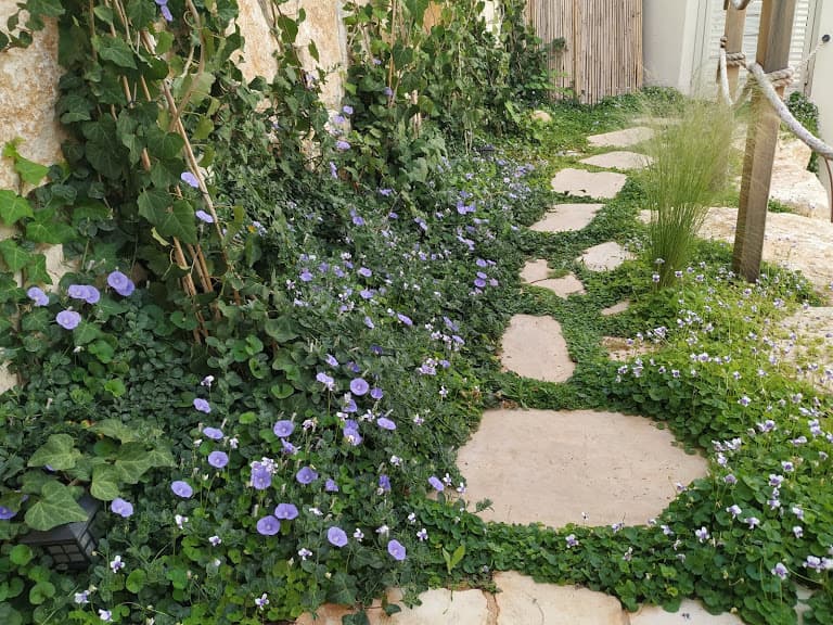 שביל הגינה עם פרחים