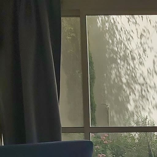 מבט מהחלון לגינה